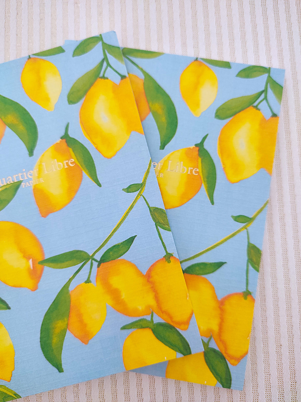 Petit carnet - Citrons