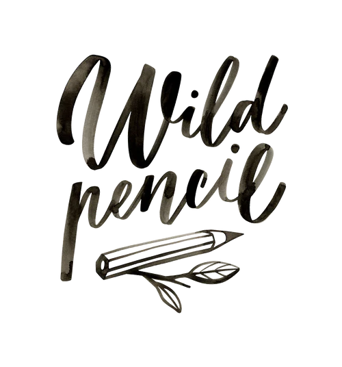 Wild pencil studio